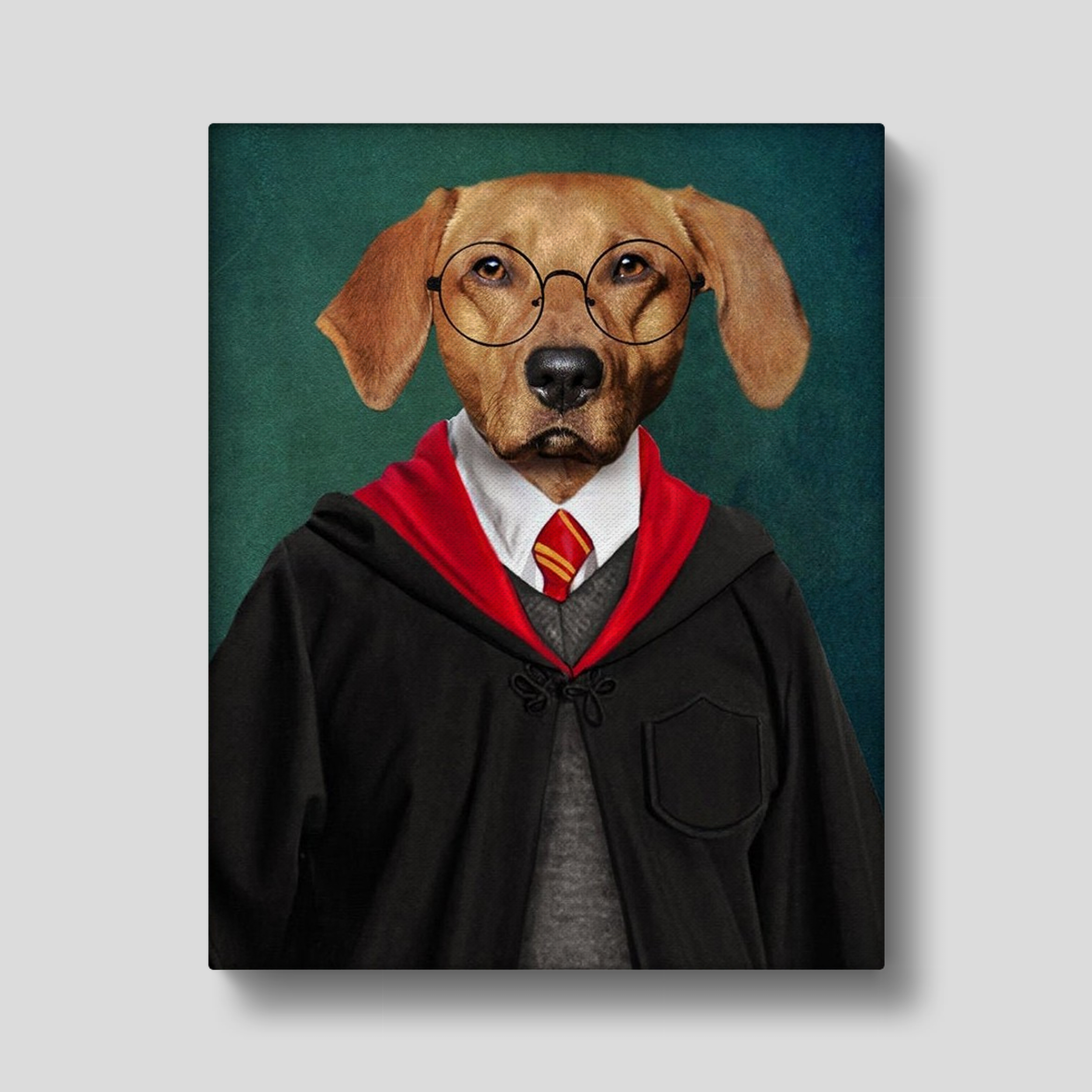 Harry Pawter