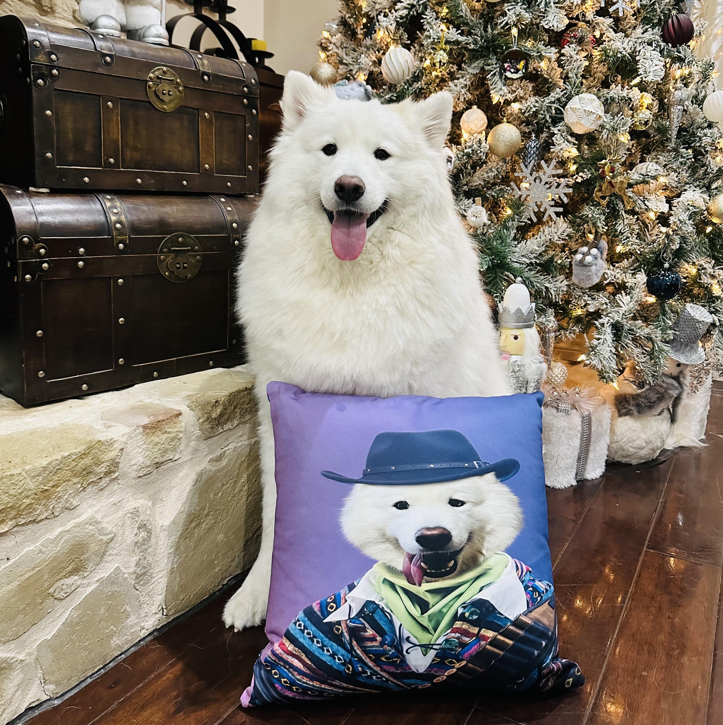 Custom Premium Pillow